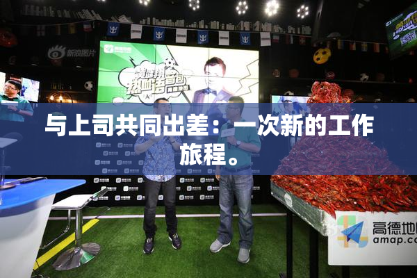 与上司共同出差：一次新的工作旅程。