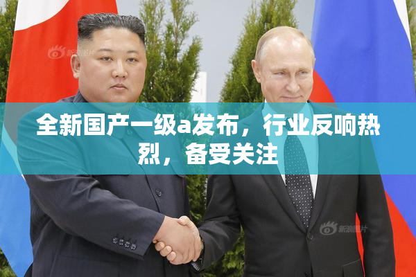 全新国产一级a发布，行业反响热烈，备受关注