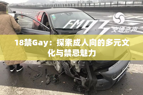 18禁Gay：探索成人向的多元文化与禁忌魅力