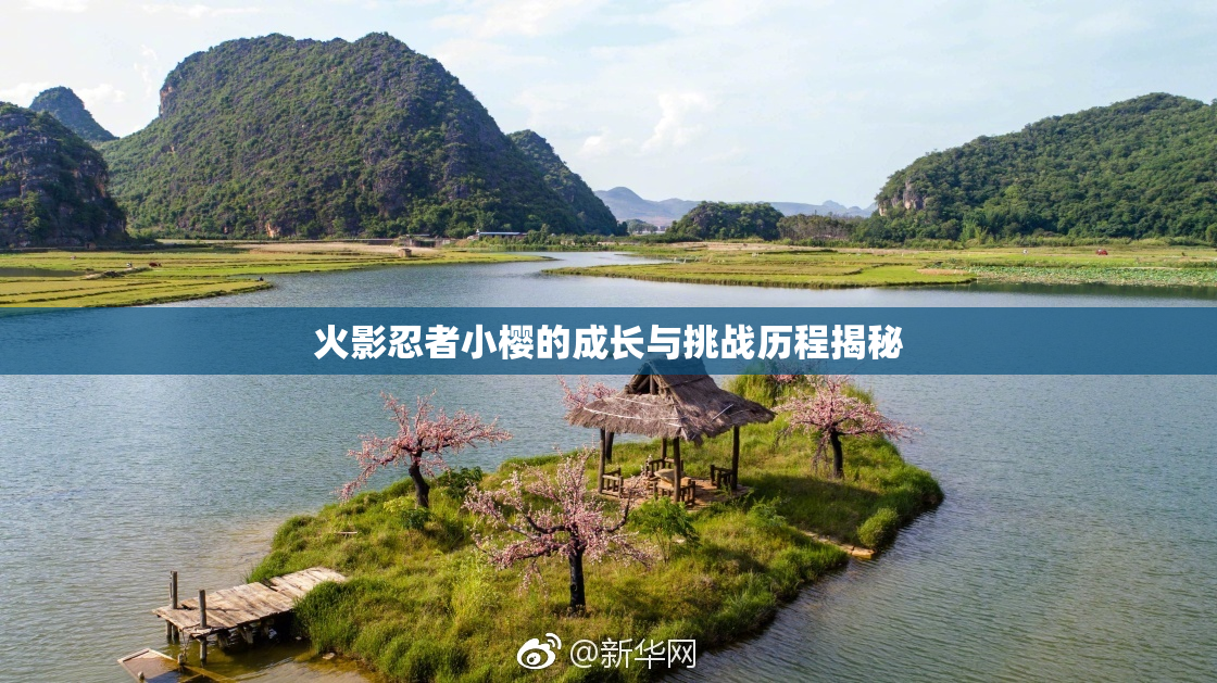 火影忍者小樱的成长与挑战历程揭秘