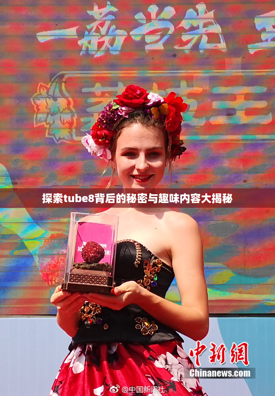 探索tube8背后的秘密与趣味内容大揭秘
