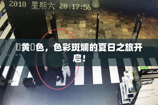 ✿黄✿色，色彩斑斓的夏日之旅开启！
