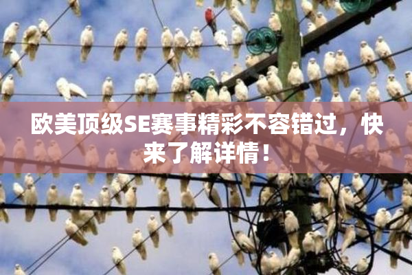 欧美顶级SE赛事精彩不容错过，快来了解详情！