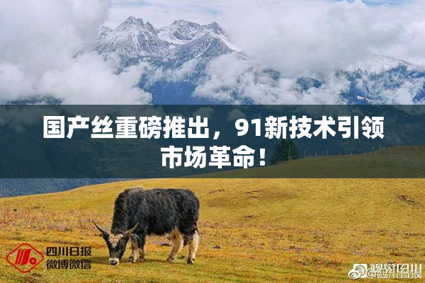 国产丝重磅推出，91新技术引领市场革命！