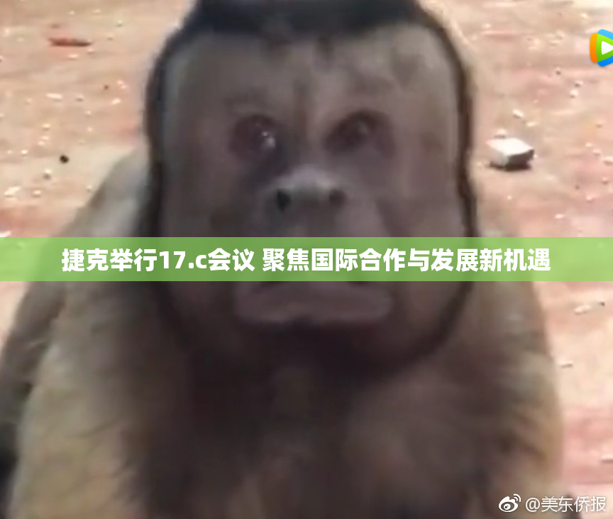 捷克举行17.c会议 聚焦国际合作与发展新机遇