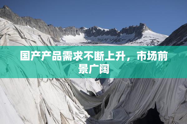 国产产品需求不断上升，市场前景广阔
