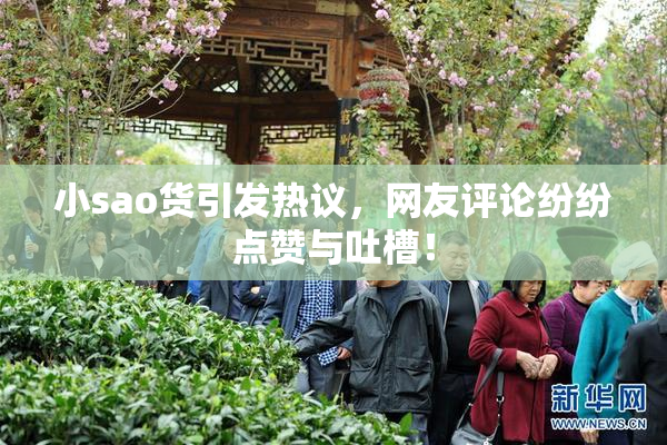 小sao货引发热议，网友评论纷纷点赞与吐槽！