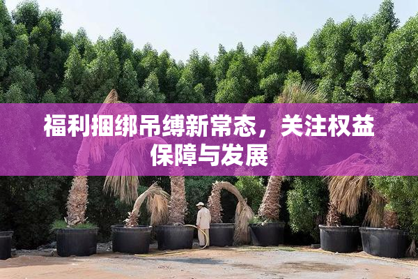 福利捆绑吊缚新常态，关注权益保障与发展