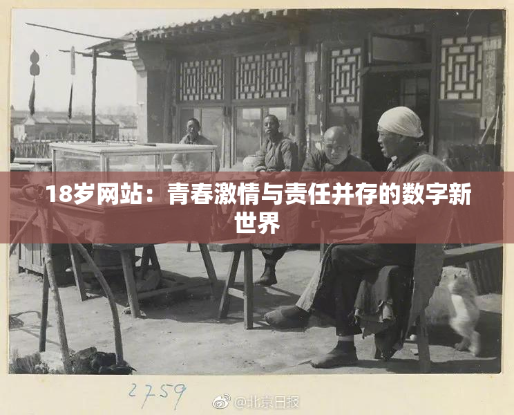 18岁网站：青春激情与责任并存的数字新世界