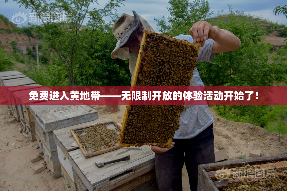 免费进入黄地带——无限制开放的体验活动开始了！