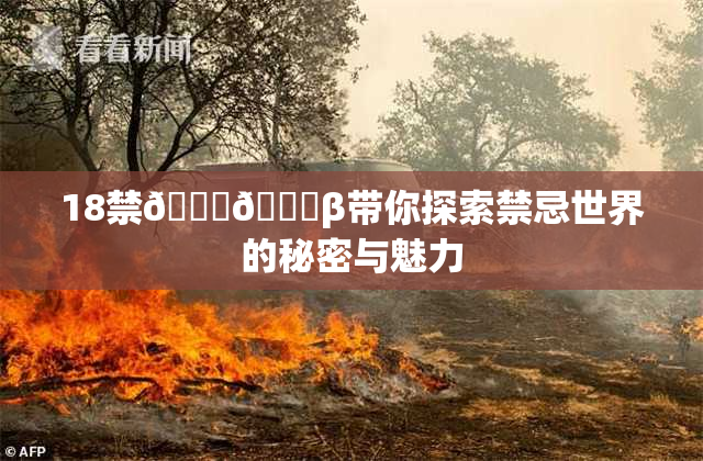 18禁🍆🍑β带你探索禁忌世界的秘密与魅力