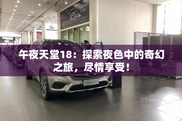 午夜天堂18：探索夜色中的奇幻之旅，尽情享受！