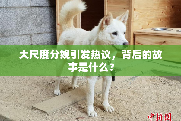 大尺度分娩引发热议，背后的故事是什么？