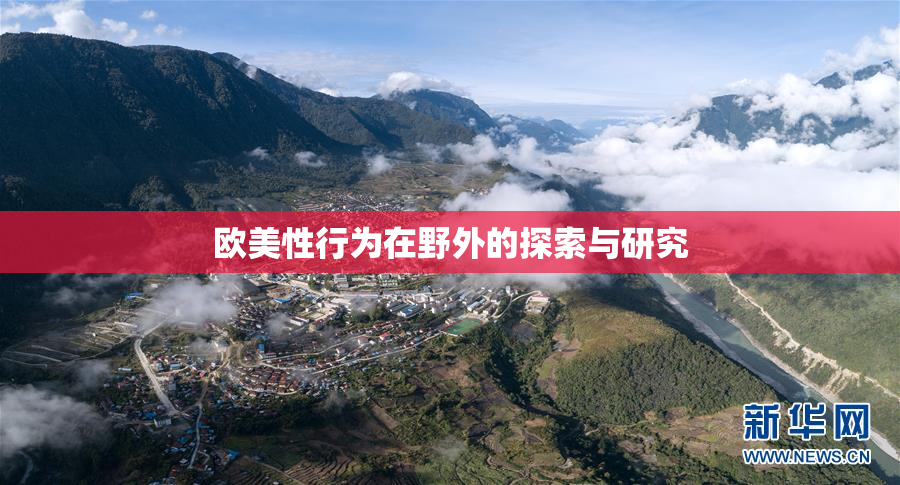 欧美性行为在野外的探索与研究