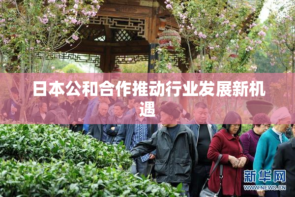 日本公和合作推动行业发展新机遇