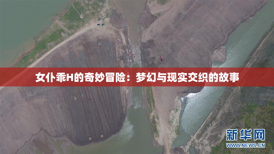 女仆乖H的奇妙冒险：梦幻与现实交织的故事