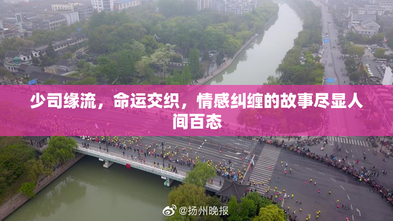 少司缘流，命运交织，情感纠缠的故事尽显人间百态