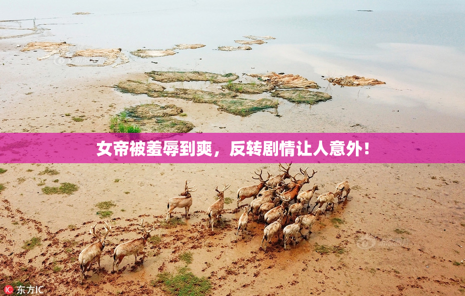 女帝被羞辱到爽，反转剧情让人意外！