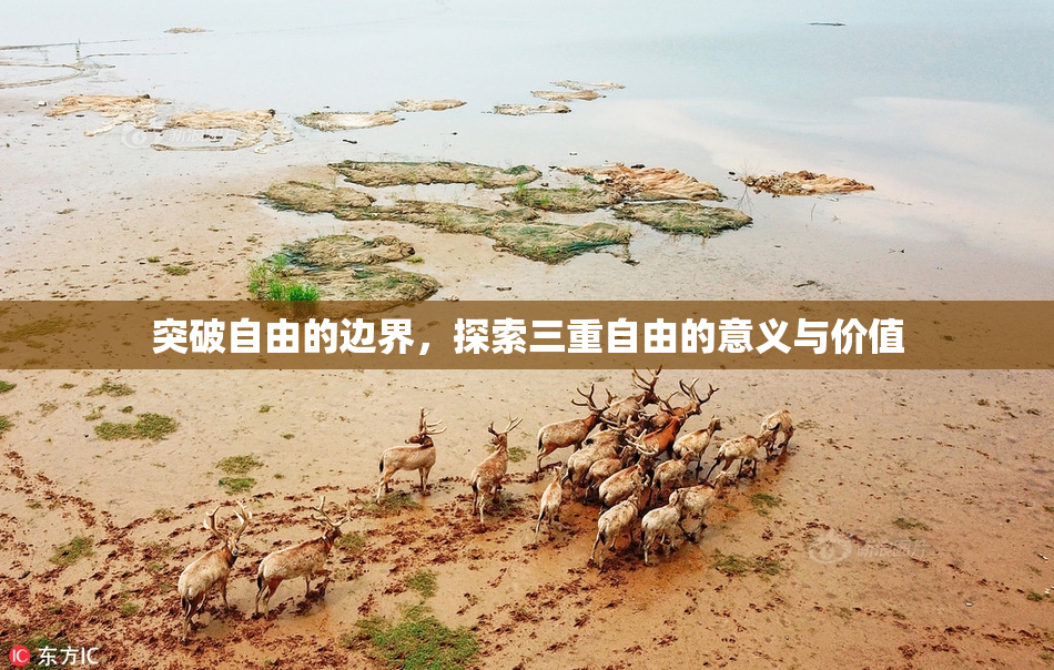 突破自由的边界，探索三重自由的意义与价值