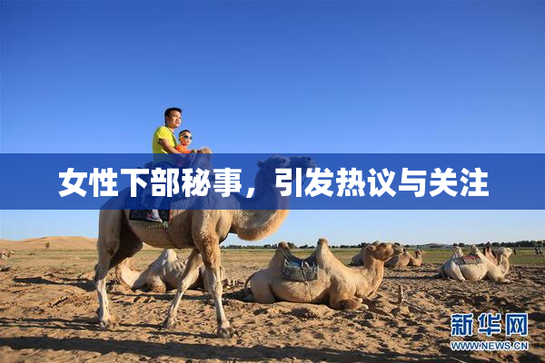 女性下部秘事，引发热议与关注