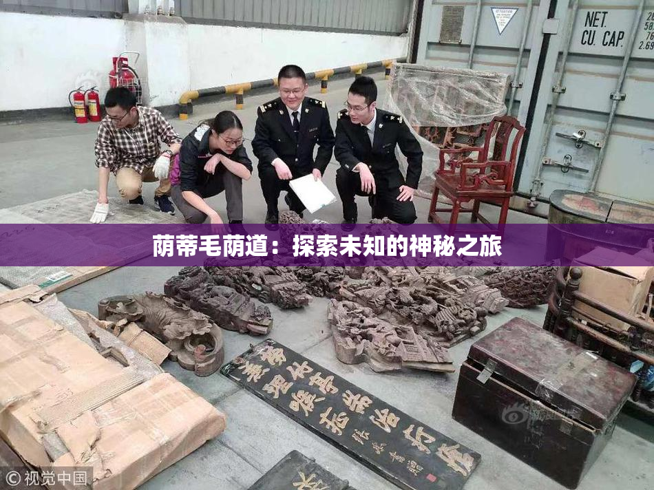 荫蒂毛荫道：探索未知的神秘之旅