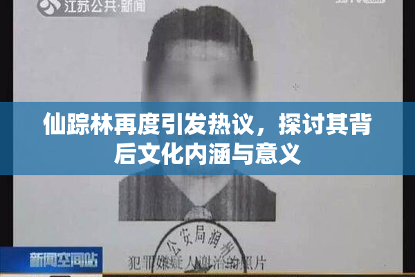 仙踪林再度引发热议，探讨其背后文化内涵与意义