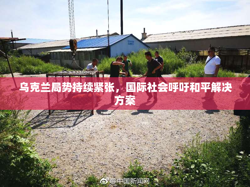 乌克兰局势持续紧张，国际社会呼吁和平解决方案