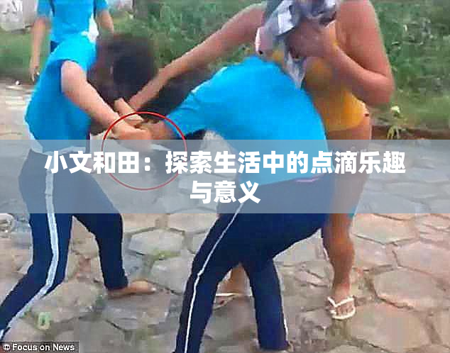小文和田：探索生活中的点滴乐趣与意义