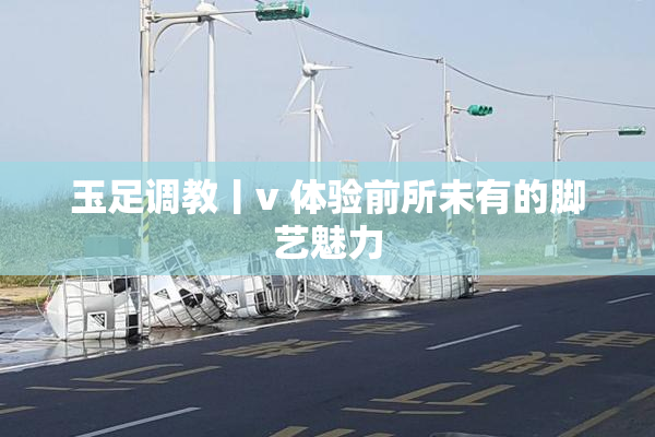 玉足调教丨v 体验前所未有的脚艺魅力