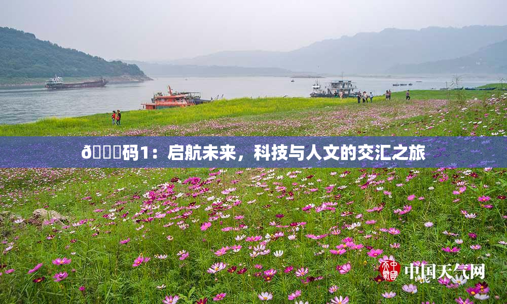 🈚码1：启航未来，科技与人文的交汇之旅