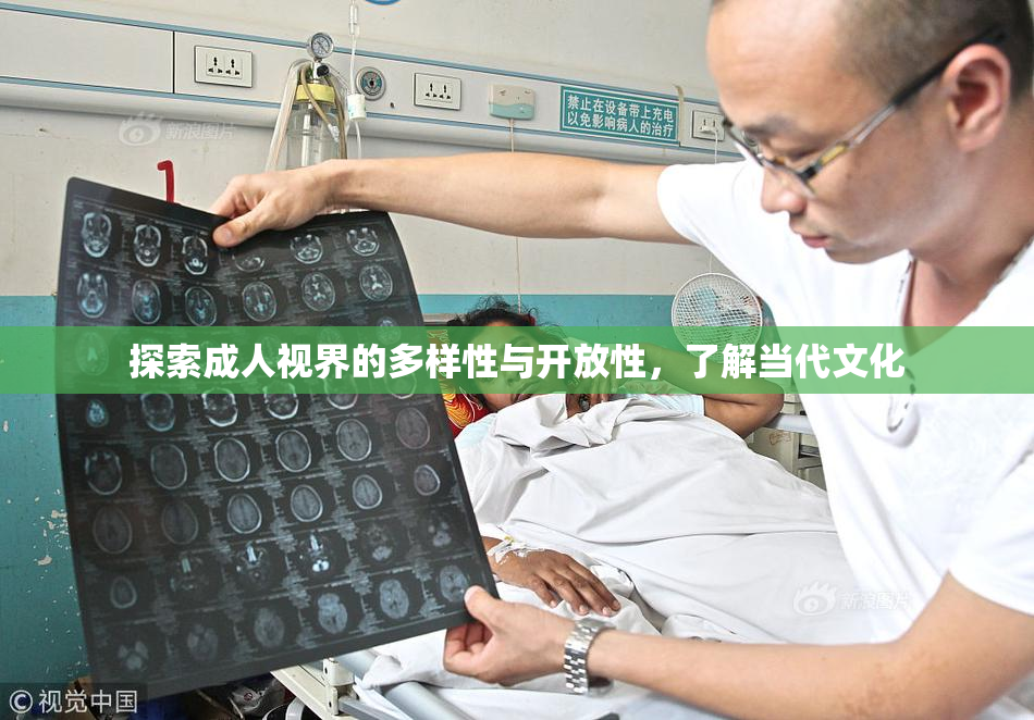 探索成人视界的多样性与开放性，了解当代文化