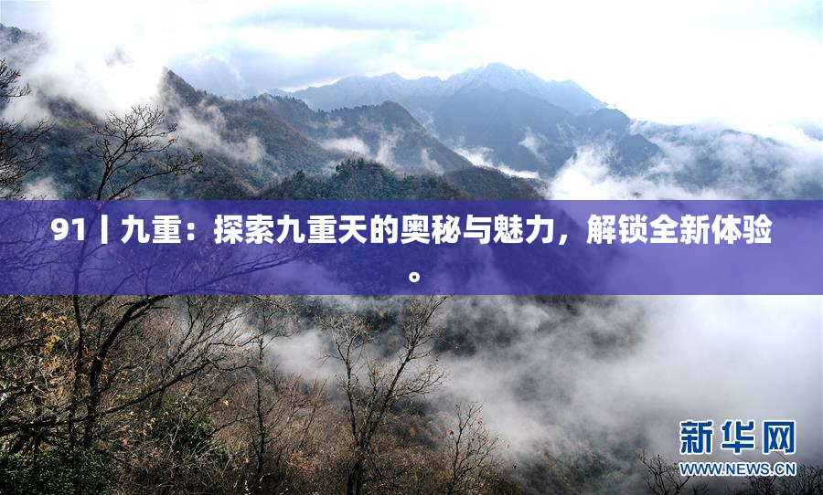 91丨九重：探索九重天的奥秘与魅力，解锁全新体验。