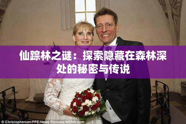 仙踪林之谜：探索隐藏在森林深处的秘密与传说