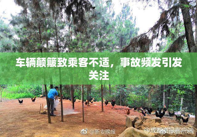 车辆颠簸致乘客不适，事故频发引发关注