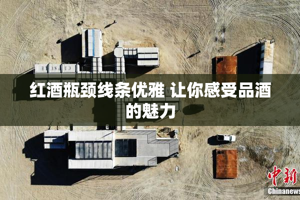 红酒瓶颈线条优雅 让你感受品酒的魅力