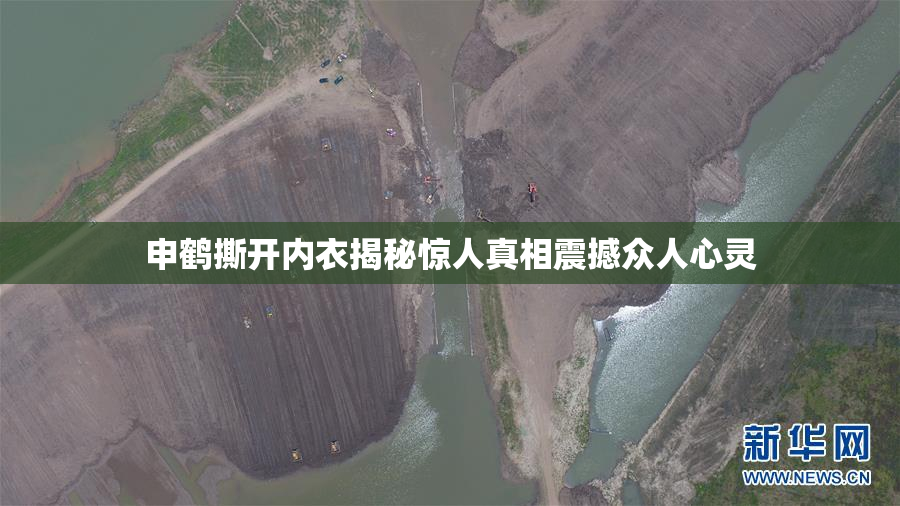 申鹤撕开内衣揭秘惊人真相震撼众人心灵