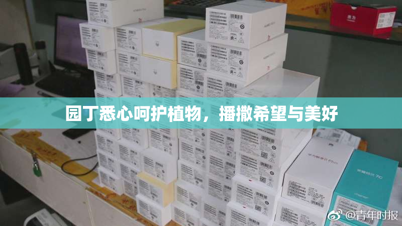 园丁悉心呵护植物，播撒希望与美好