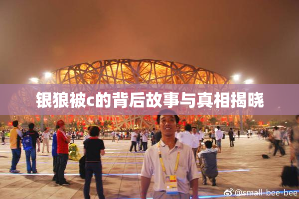 银狼被c的背后故事与真相揭晓