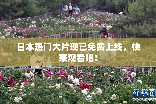 日本热门大片现已免费上线，快来观看吧！