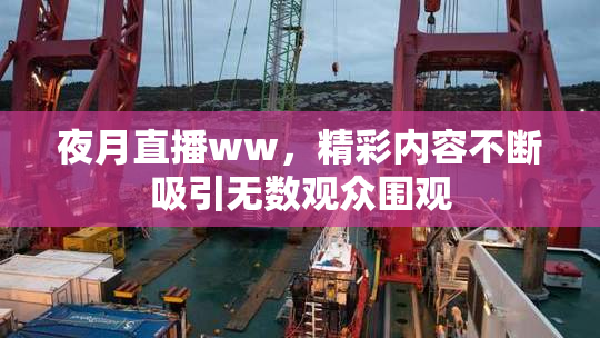 夜月直播ww，精彩内容不断吸引无数观众围观