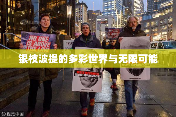 银枝波提的多彩世界与无限可能