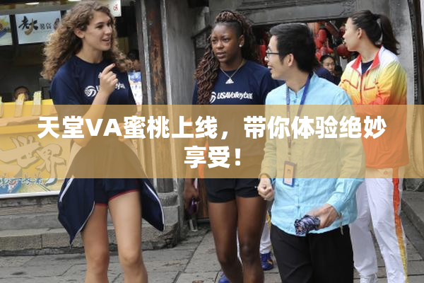 天堂VA蜜桃上线，带你体验绝妙享受！