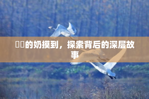 妺妺的奶摸到，探索背后的深层故事