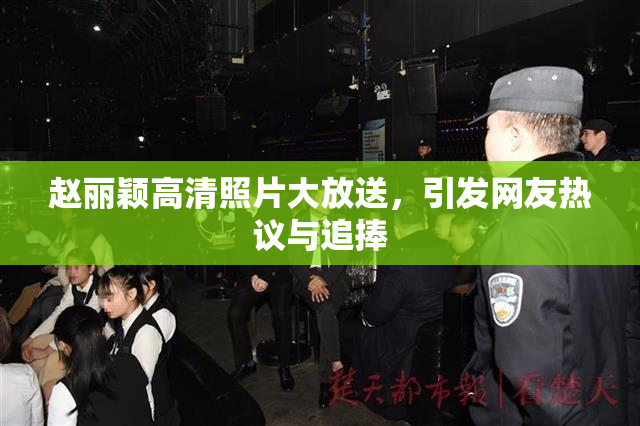 赵丽颖高清照片大放送，引发网友热议与追捧