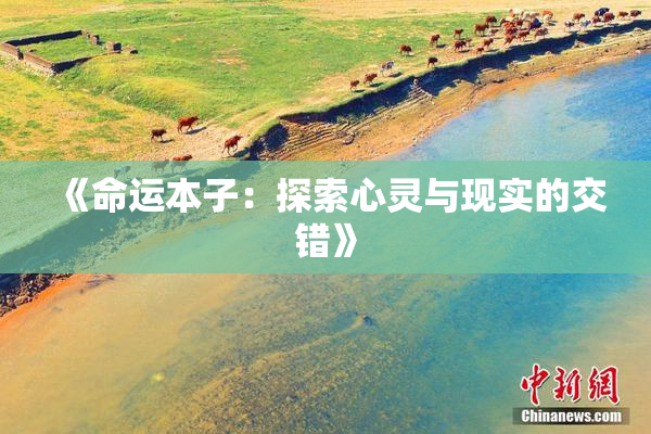 《命运本子：探索心灵与现实的交错》