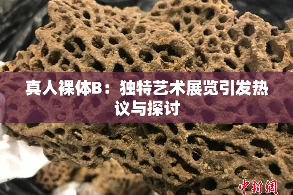 真人裸体B：独特艺术展览引发热议与探讨