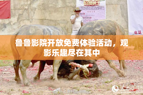 鲁鲁影院开放免费体验活动，观影乐趣尽在其中