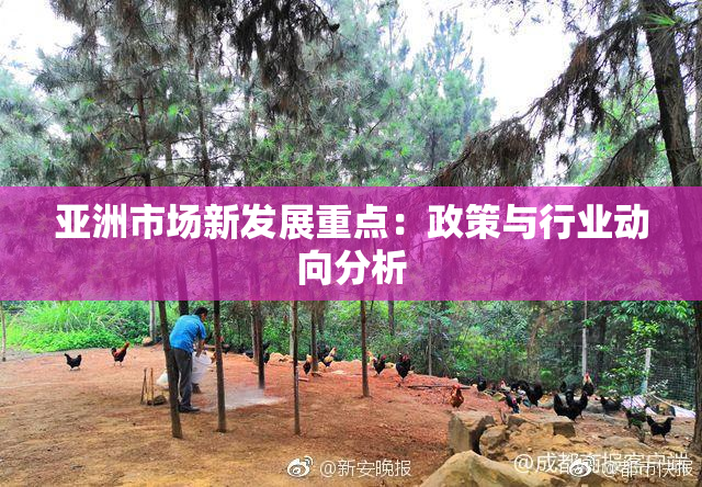 亚洲市场新发展重点：政策与行业动向分析