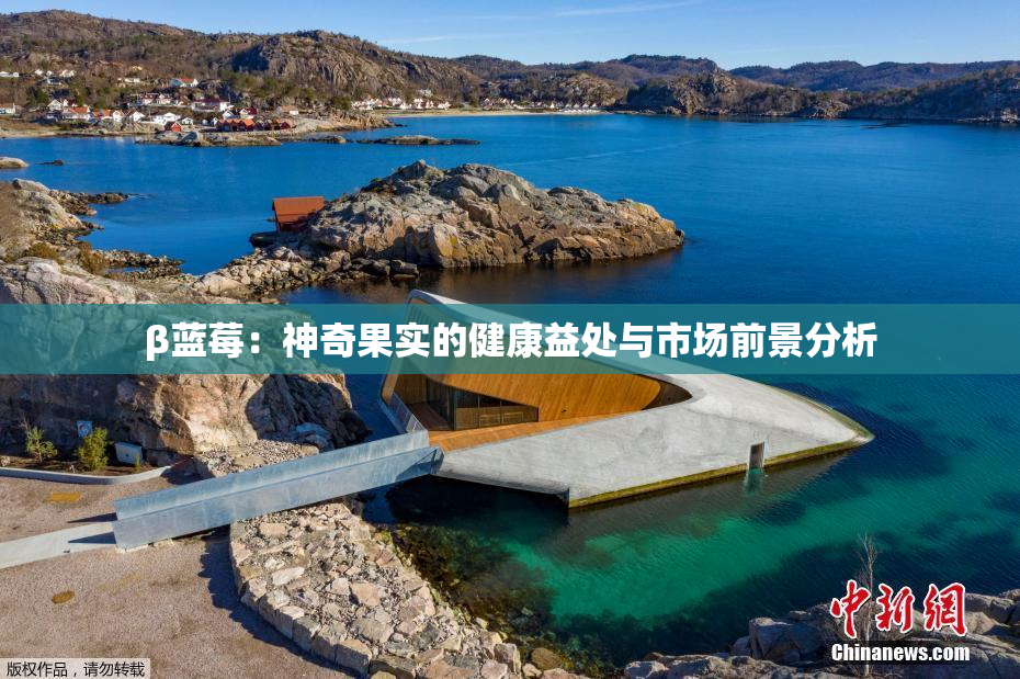 β蓝莓：神奇果实的健康益处与市场前景分析