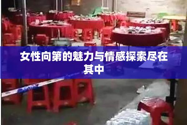 女性向第的魅力与情感探索尽在其中